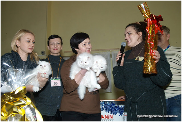World Cat Show 2011
